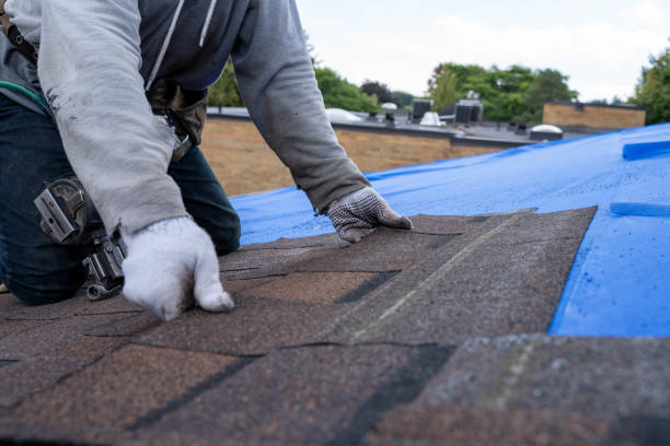 Best Commercial Roofing Services  in Cascade Chipita Park, CO